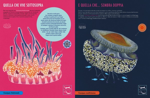 Il giardino delle meduse - Image 4