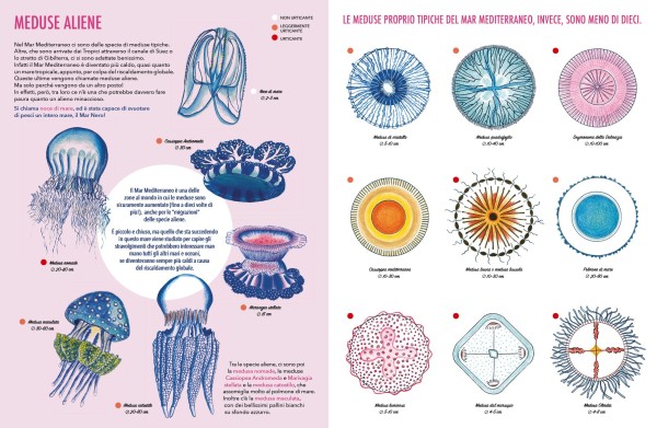 Il giardino delle meduse - Image 2