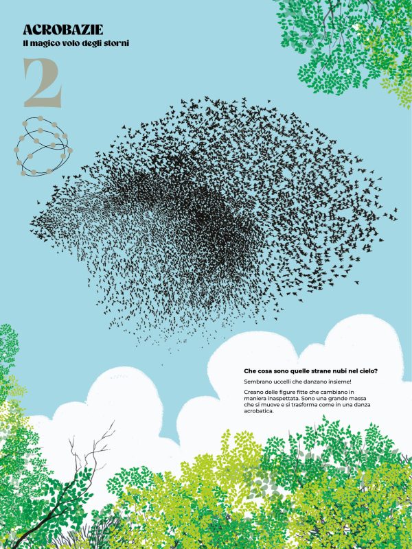 Coreografie animali - Image 2